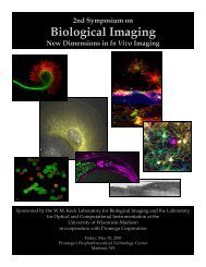 Here - WM Keck Laboratory for Biological Imaging - University of ...