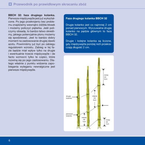 Pobierz jako PDF - BASF Polska