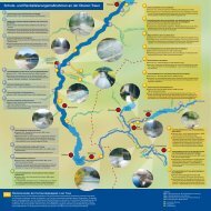 Flussraumbetreuung Obere Traun - WWF Ãsterreich