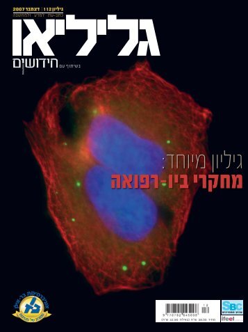 ÃËâÃ - ××× ×××¨×¡×××ª ××¨ ××××