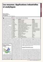 Les enzymes : Applications industrielles et analytiques - Megazyme