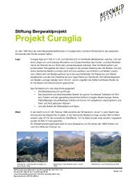 Stiftung Bergwaldprojekt Projekt Curaglia