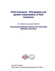 Fluid inclusions - Petrography and genetic interpretation of fluid ...