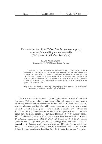 Five new species of the Callosobruchus chinensis group from the ...