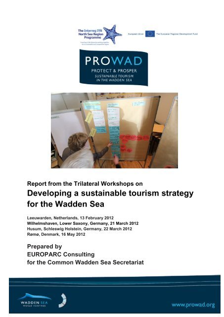 Report from the Trilateral Workshops on Developing a sustainable ...