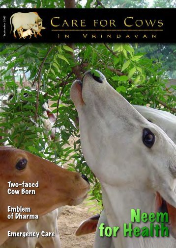 CFC September 2007 Newsletter - Care for Cows