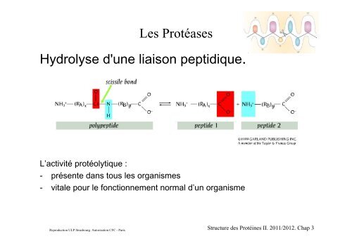 Cours-3-201112Fichier PDF - e-nautia