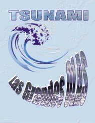 Tsunami, las grandes olas - Shoa