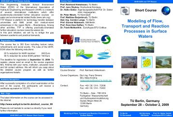 Modeling of Flow, Transport and Reaction Processes in Surface ...