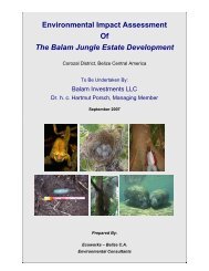 Environmental Impact Assessment Of The Balam Jungle Estate ...