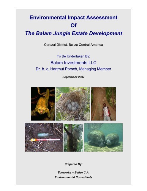 Environmental Impact Assessment Of The Balam Jungle Estate ...