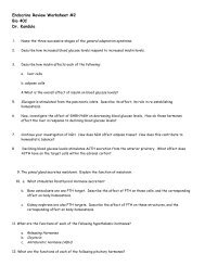 Endocrine Review Worksheet #2 Bio 40C Dr ... - De Anza College