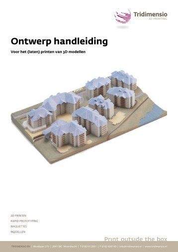 Ontwerp handleiding - Tridimensio