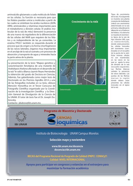 biotecnologia_en_movimiento_no_1