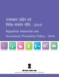 Rajasthan Industrial and Investment Promotion Policy - 2010 - RIICO