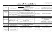 MÃºsculos Profundos del Dorso - Telmeds.org