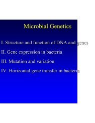 Microbial Genetics Microbial Genetics