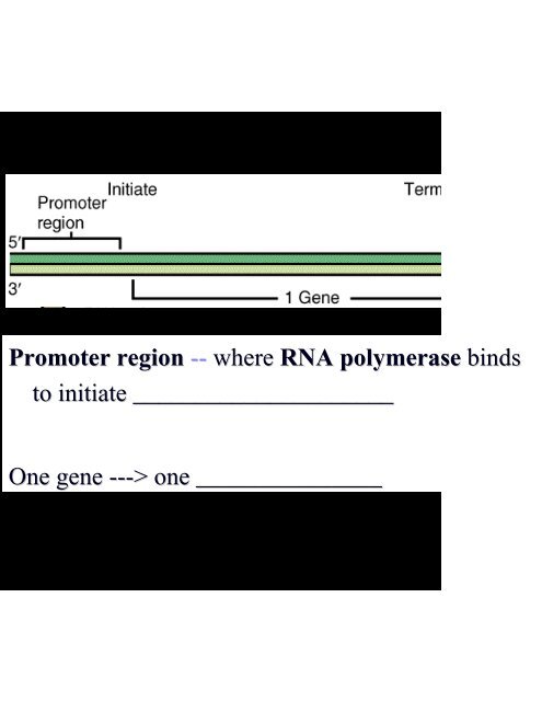 Microbial Genetics Microbial Genetics