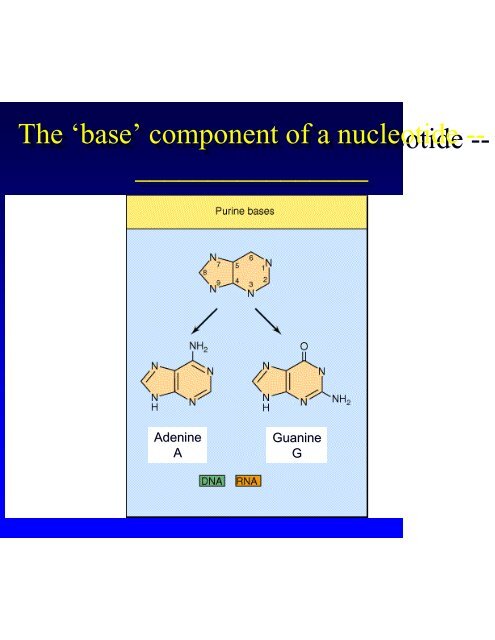 Microbial Genetics Microbial Genetics