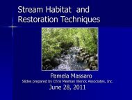 Stream Habitat and Restoration Techniques - History