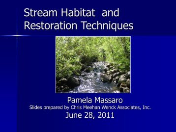 Stream Habitat and Restoration Techniques - History