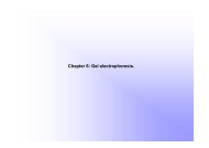 Chapter 6: Gel electrophoresis.