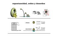 espontaneidad, orden y desorden