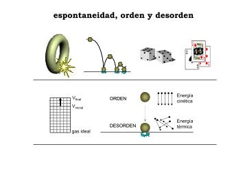 espontaneidad, orden y desorden