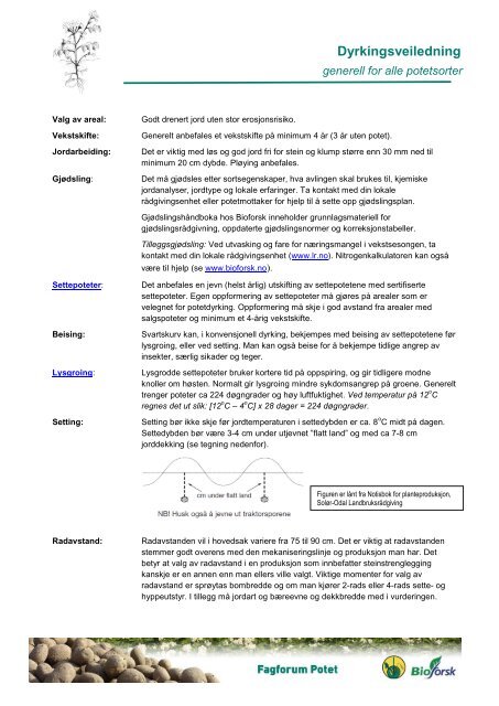 Dyrkingsveiledning for produksjon av potet