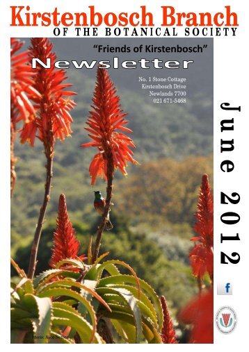 Kirstenbosch Branch Newsletter June 2012 - Botanical Society of ...