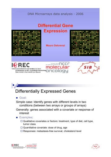 Differential Gene Expression Differentially Expressed Genes