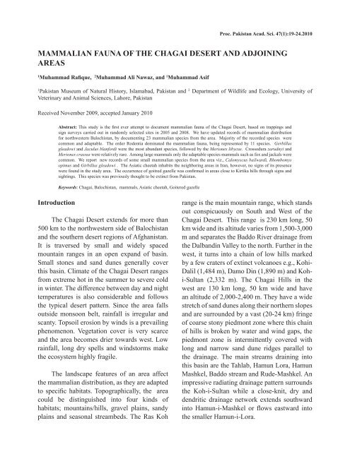 mammalian fauna of the chagai desert and adjoining areas