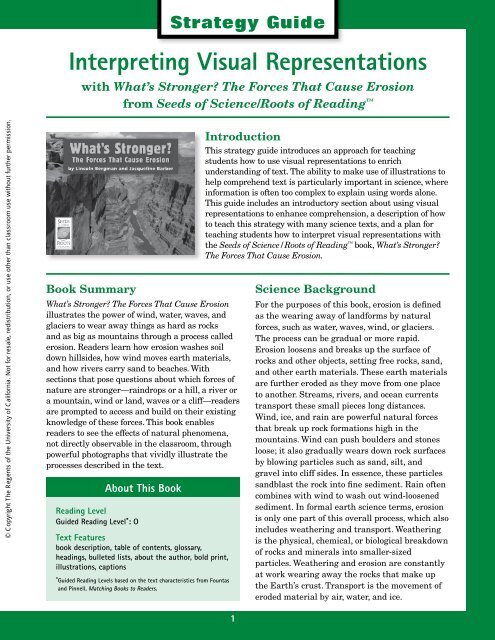 Interpreting Visual Representations - Seeds of Science/Roots of ...