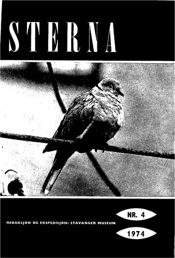 Sterna, bind 13 nr 4 (PDF-fil) - Museum Stavanger
