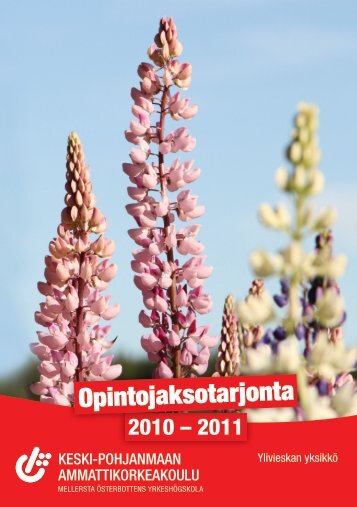 Opintojaksotarjonta - Centria tutkimus ja kehitys