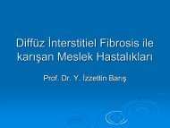 DiffÃ¼z Ä°nterstitiel Fibrosis ile karÄ±Åan Meslek HastalÄ±klarÄ±