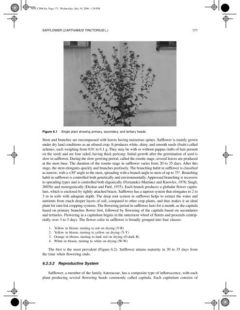 Safflower (Carthamus tinctorius L.) - NARI