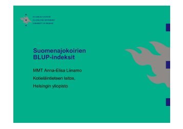 Osa 2. Suomenajokoirien BLUP-indeksit