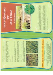 82. Rice Blast Disease and its management (In Odia)-K.M. Das (2012)