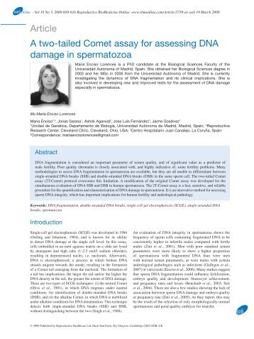 Article A two-tailed Comet assay for assessing DNA damage in ...