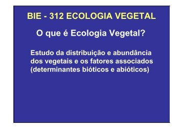 Vegetação na escala global e fatores determinantes