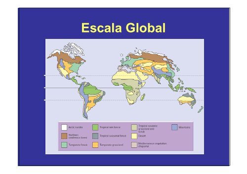 Vegetação na escala global e fatores determinantes