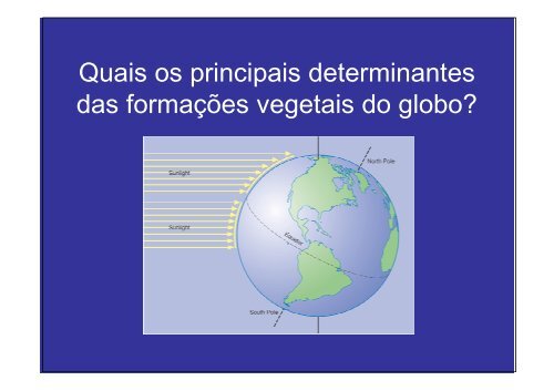 Vegetação na escala global e fatores determinantes
