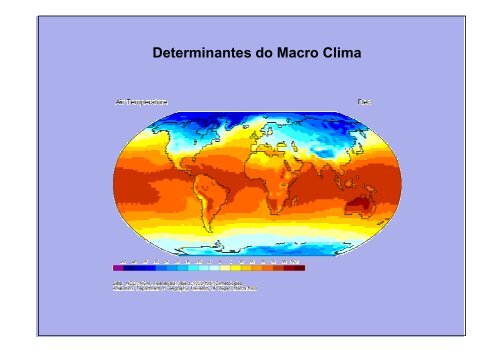 Vegetação na escala global e fatores determinantes