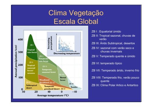 Vegetação na escala global e fatores determinantes