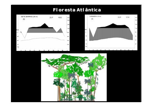 Vegetação na escala global e fatores determinantes