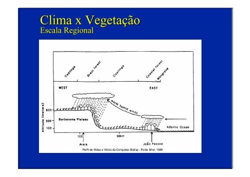 Vegetação na escala global e fatores determinantes