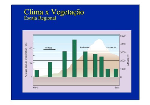 Vegetação na escala global e fatores determinantes