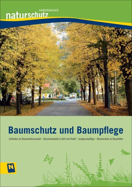 Baumschutz und Baumpflege