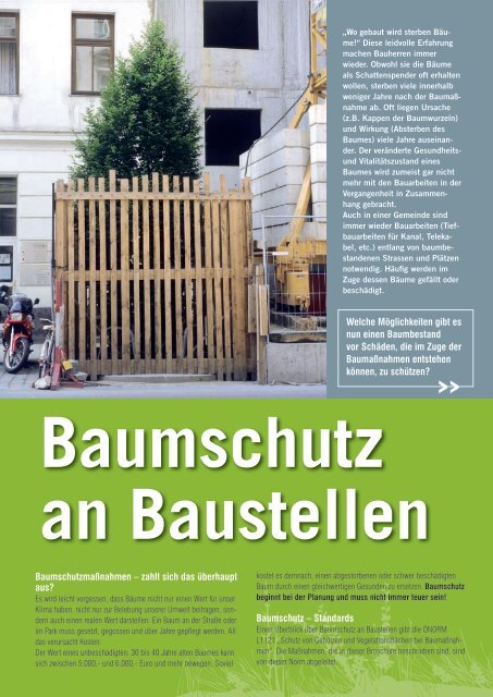 Baumschutz und Baumpflege